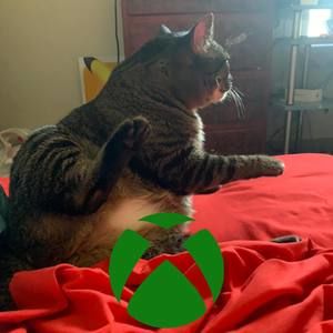 Meet your Posher, Samuel